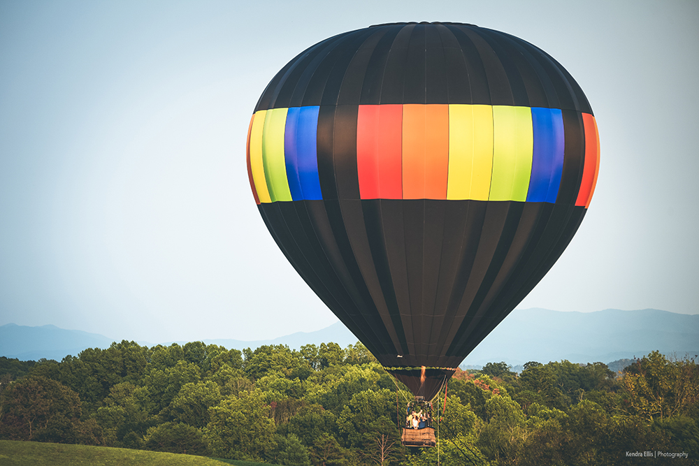 2017 Muscadine Balloon Fiesta